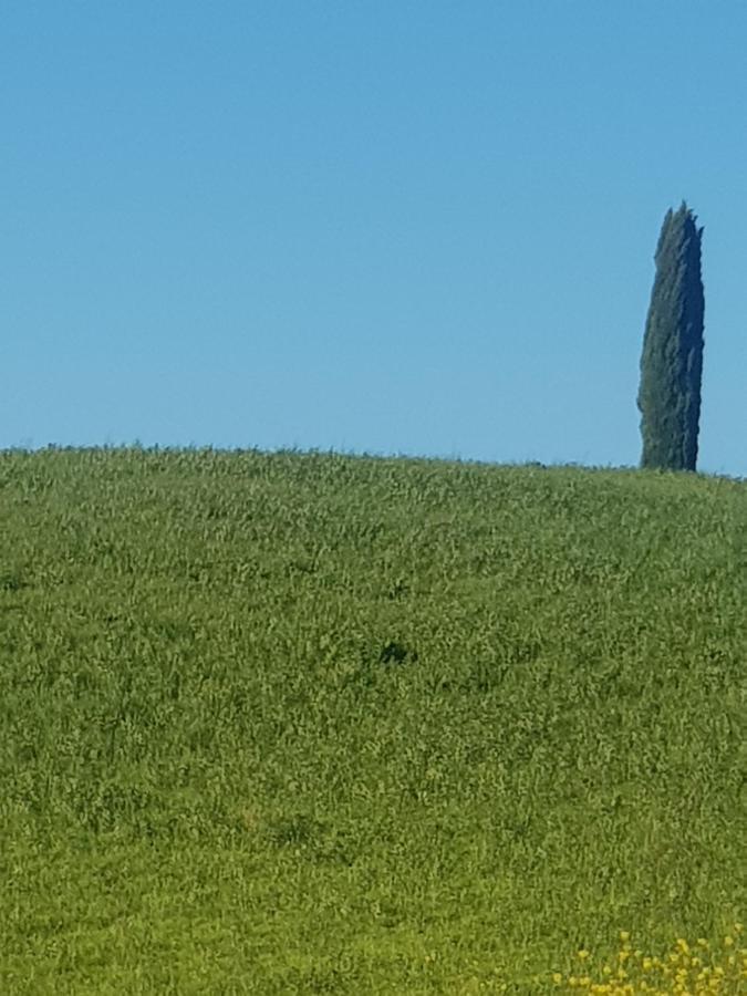 Dimora In San Quirico D'Orcia Apartment Exterior photo